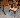 Default Thumbnail Image A