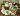 Default Thumbnail Image A