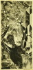 Default Thumbnail Image A