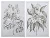 Default Thumbnail Image A
