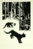 Default Thumbnail Image A