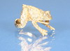 Default Thumbnail Image A