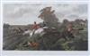 Default Thumbnail Image A
