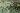Default Thumbnail Image A
