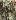 Default Thumbnail Image A